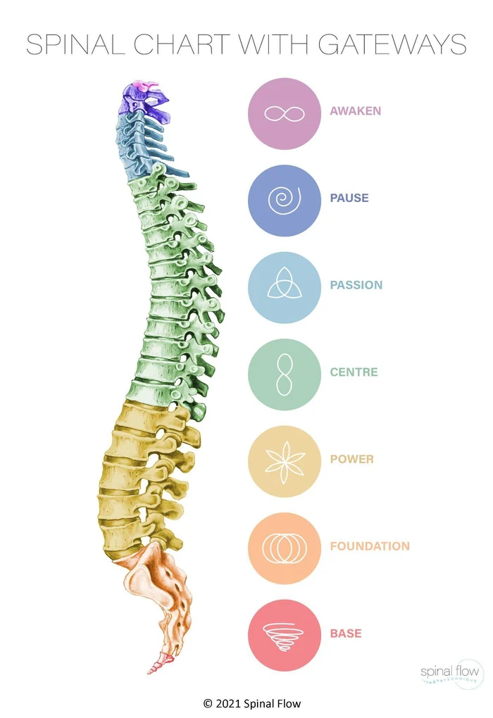 The official Spinal Flow chart: the spine with its seven gateways, Awaken, Pause, Passion, Centre, Power, Foundation and Base