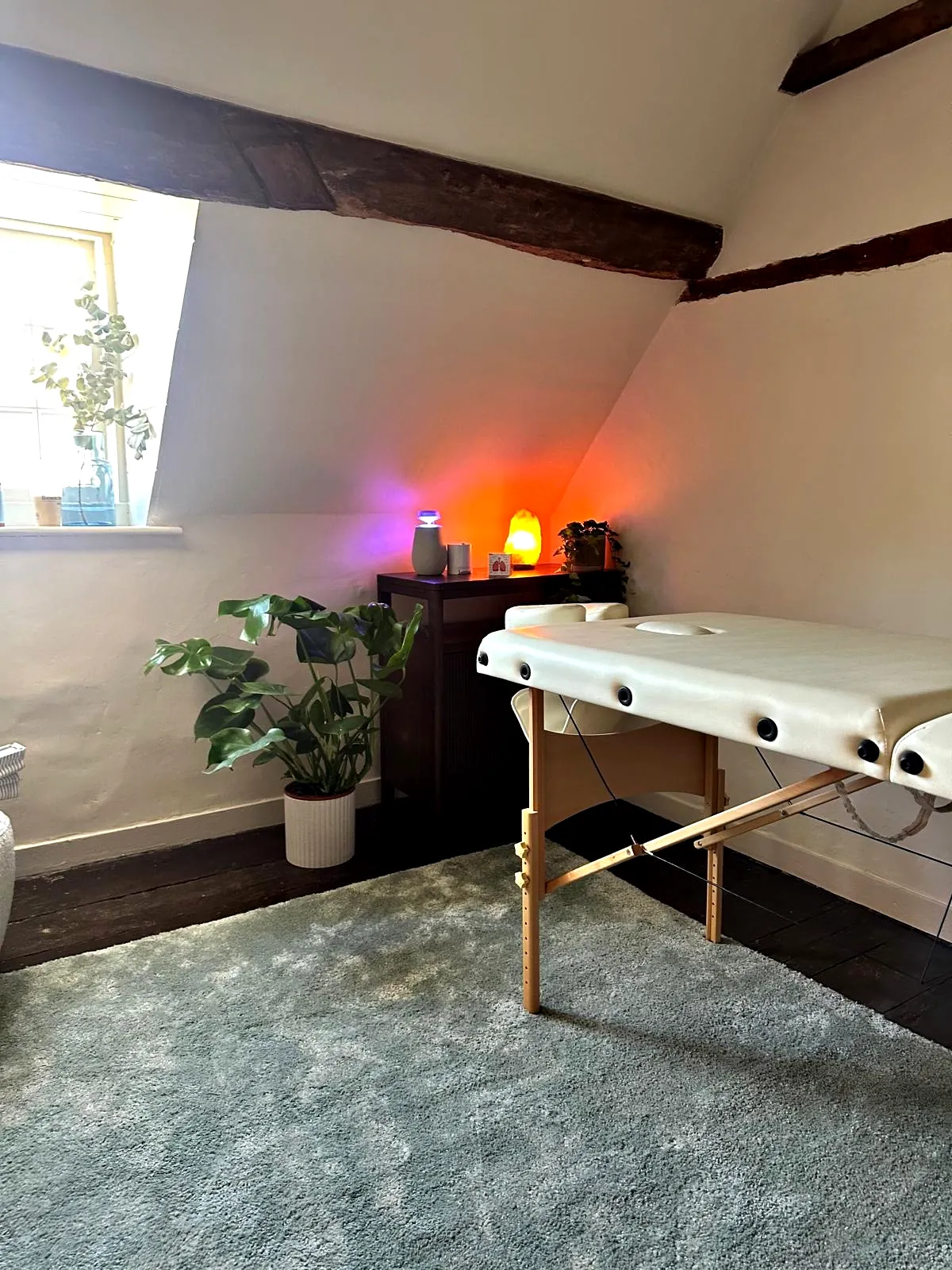 The treatment room at The Brave Studio: the couch under the sloping ceiling, plants and a salt lamp